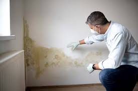 Mold Documentation for Insurance Claims in Lantana, FL